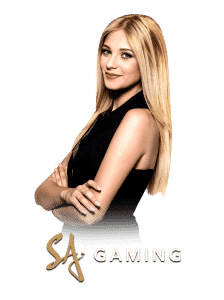 เกมสล็อตแตกง่าย 2025 maxplay88